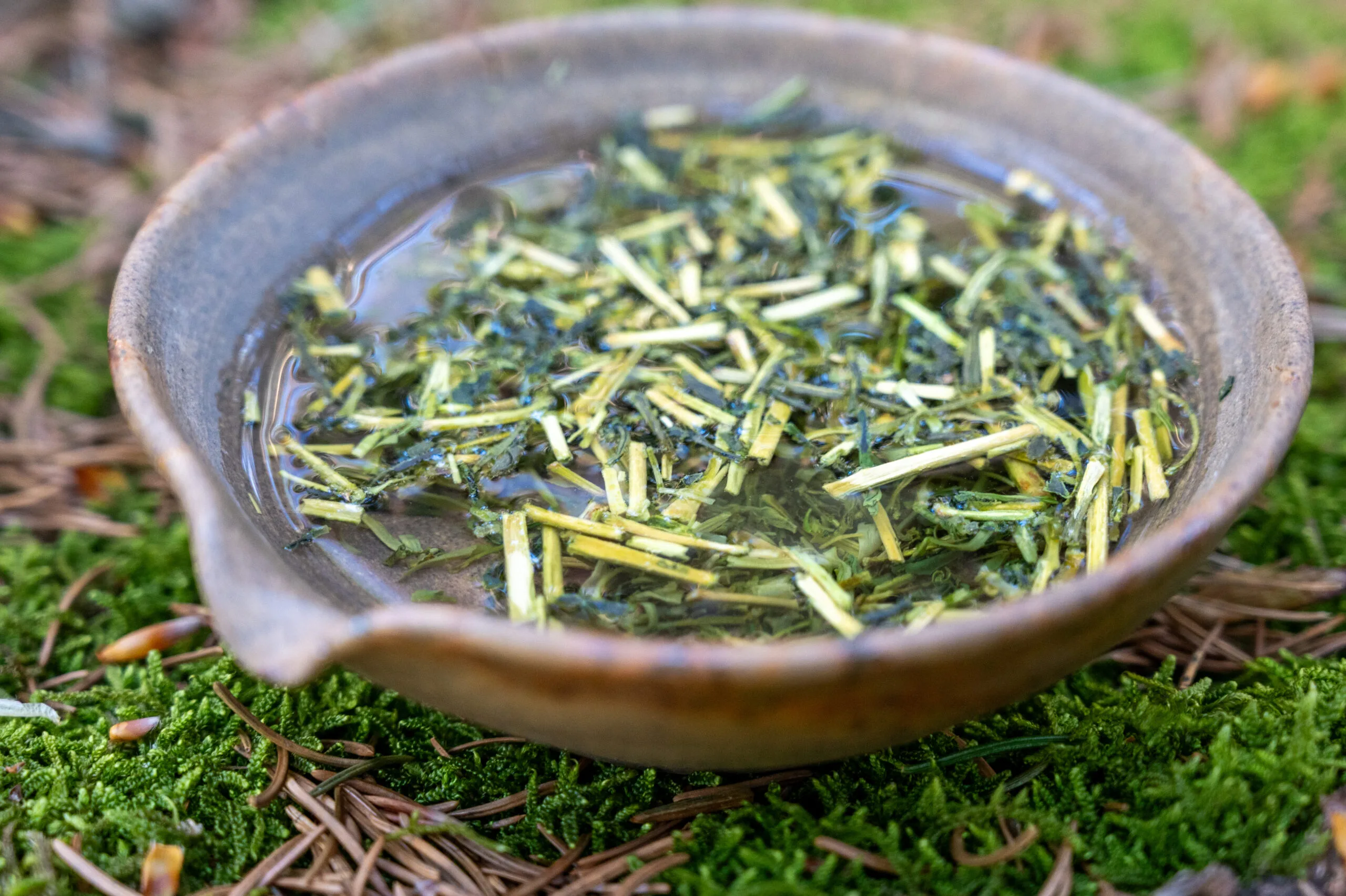 Sencha Karigane - harmonie umami z oblasti Uji - Obrázek 2