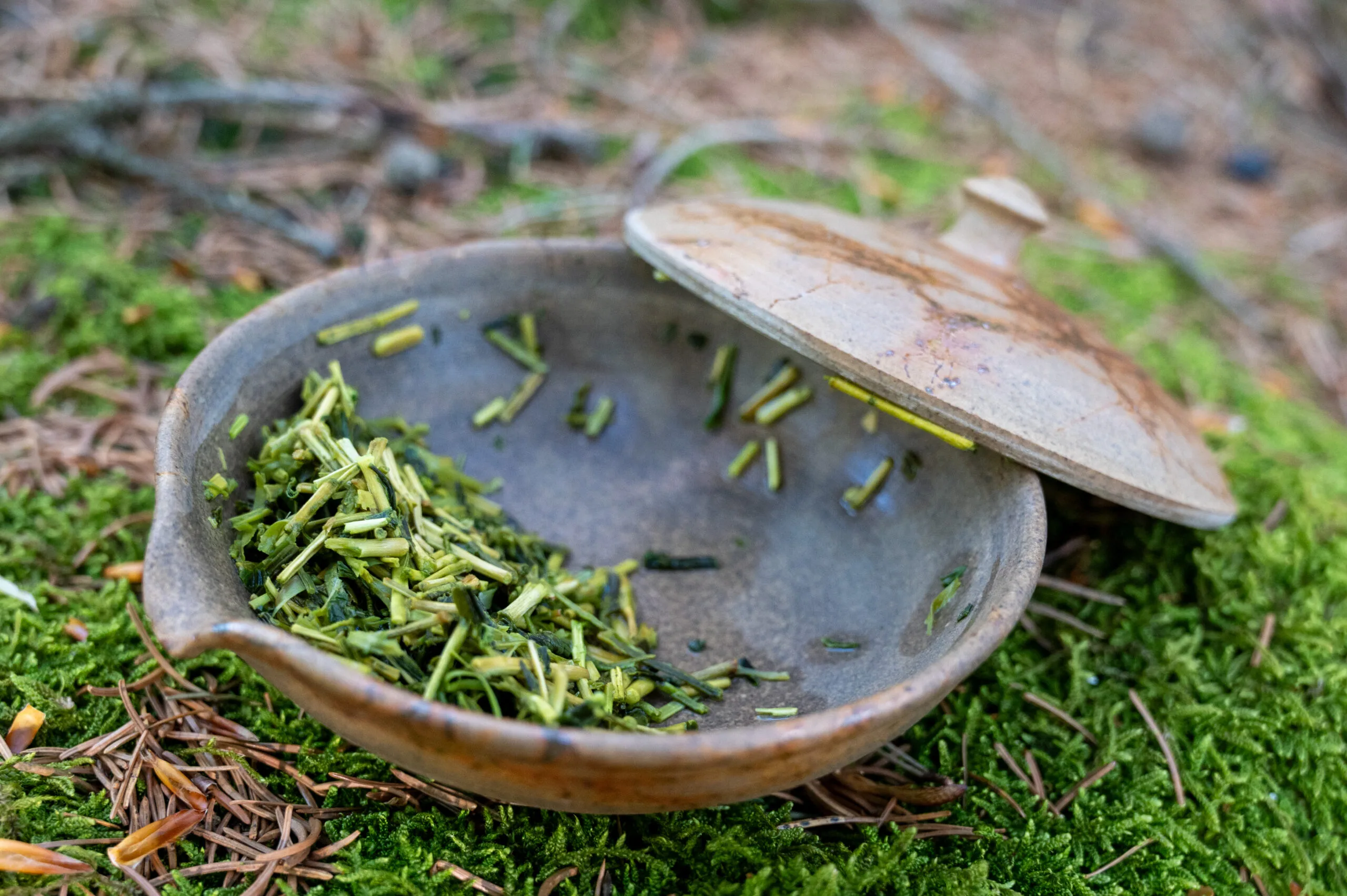 Sencha Karigane - harmonie umami z oblasti Uji - Obrázek 4