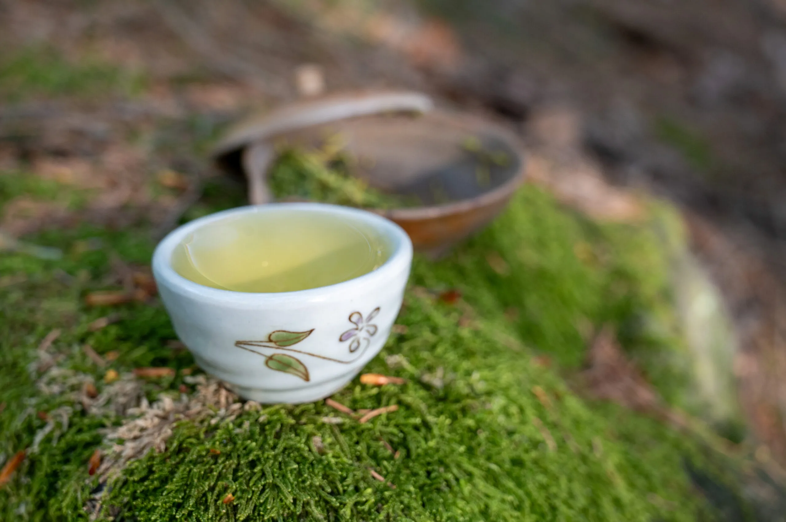 Sencha Karigane - harmonie umami z oblasti Uji - Obrázek 3