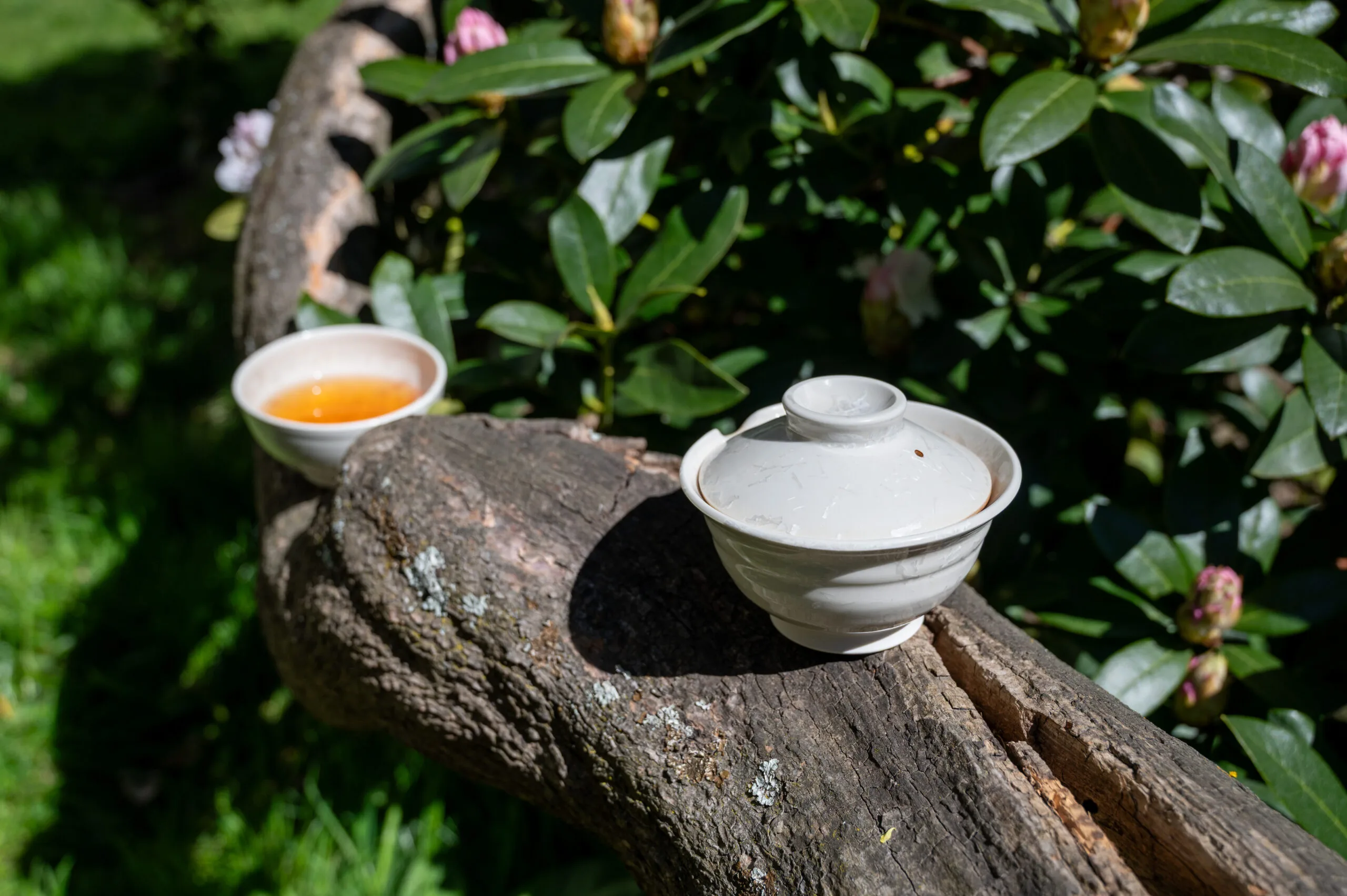 Koushun Uroncha Ichibancha - Oolong první sklizně z Kyushu - Obrázek 9