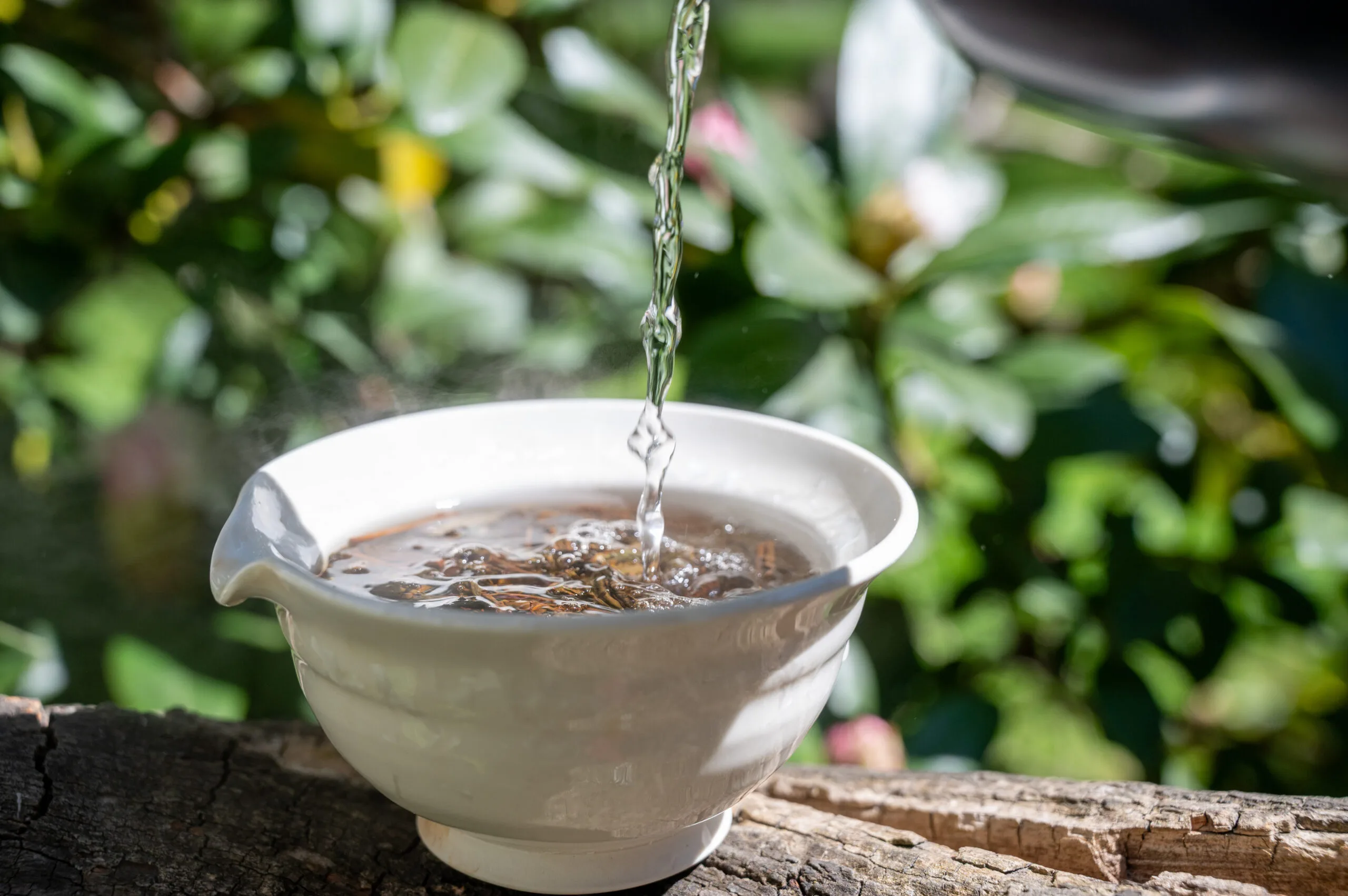 Koushun Uroncha Ichibancha - Oolong první sklizně z Kyushu - Obrázek 3
