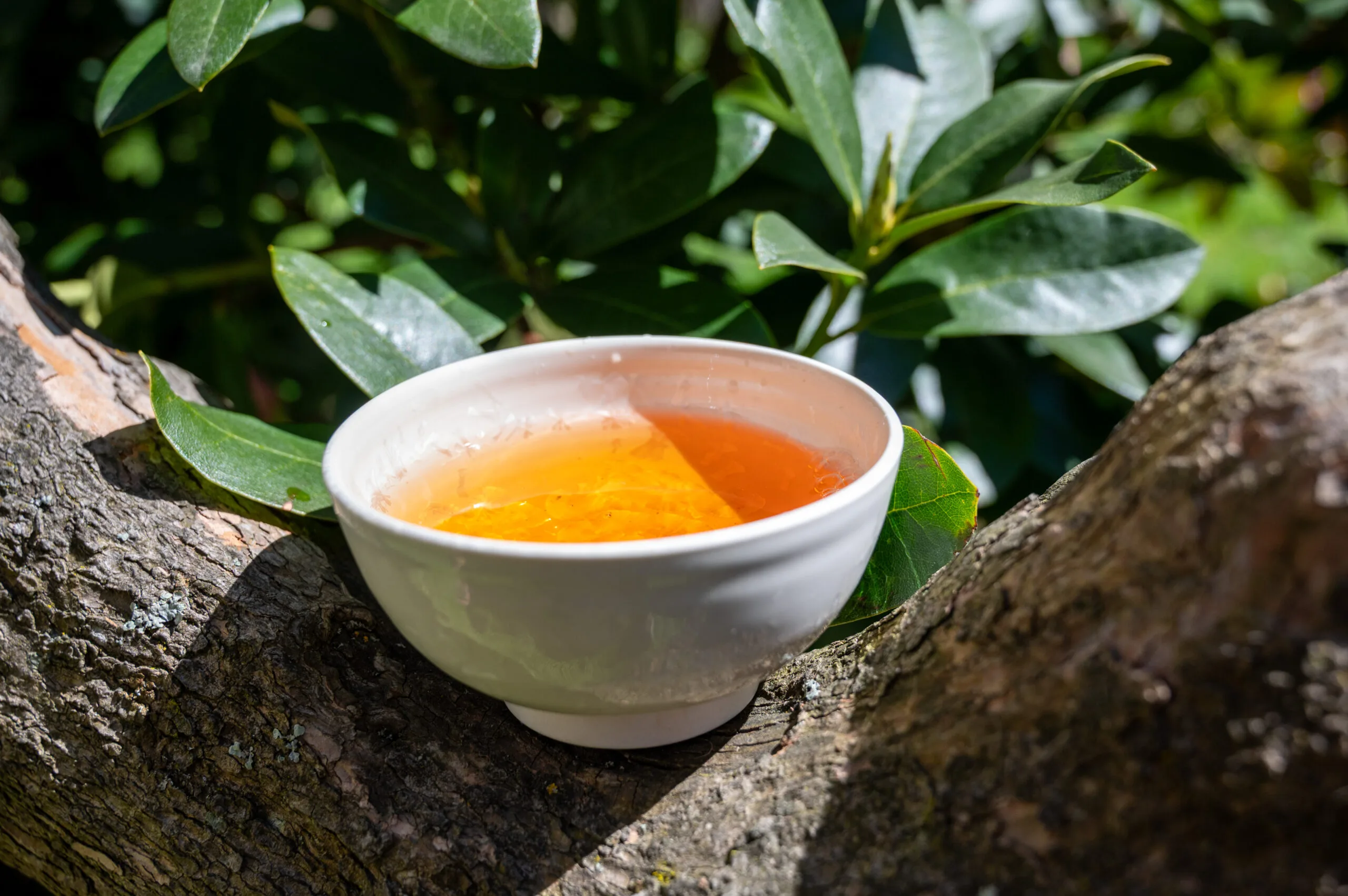 Koushun Uroncha Ichibancha - Oolong první sklizně z Kyushu
