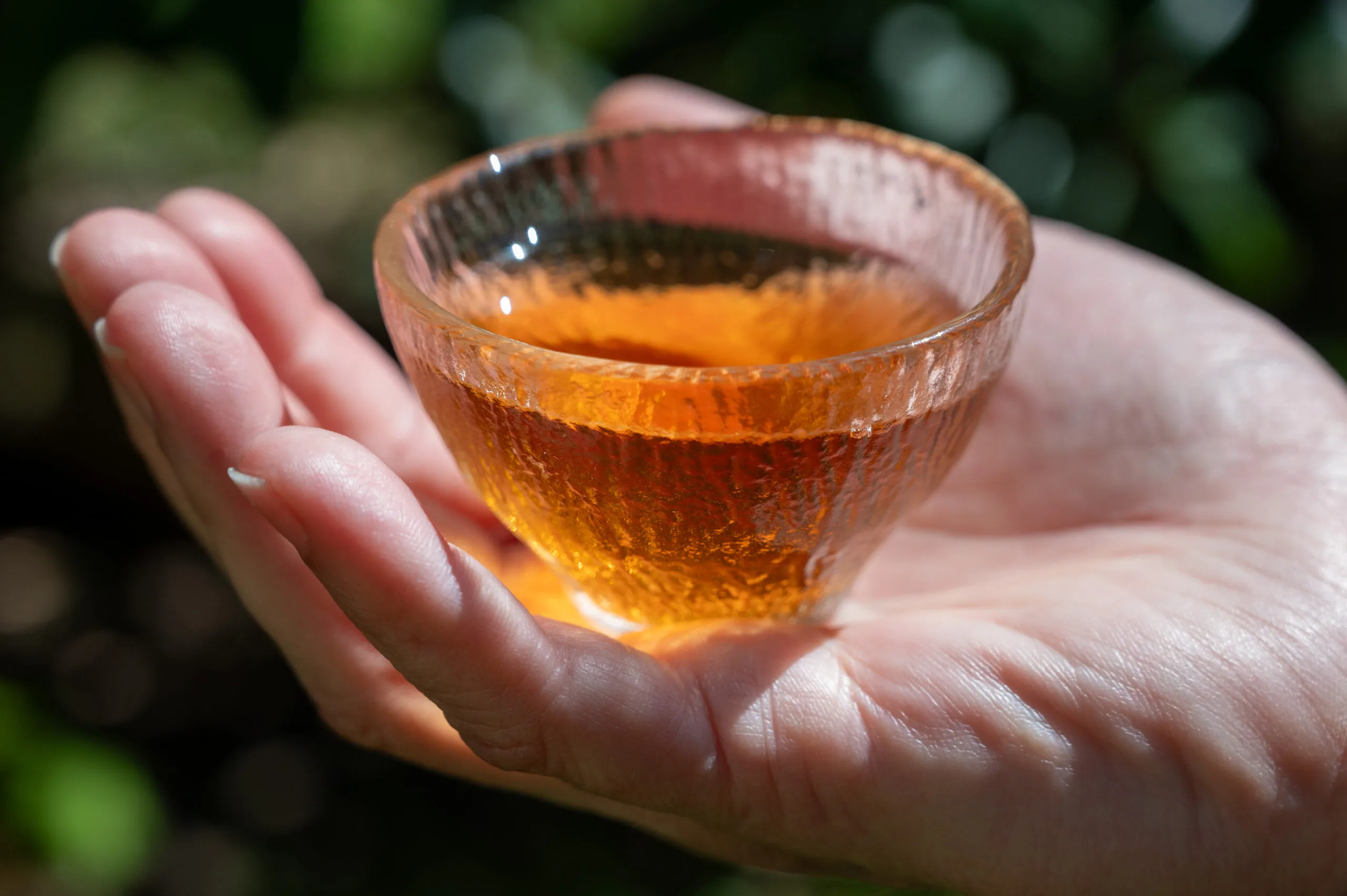 Koushun Uroncha Ichibancha - Oolong první sklizně z Kyushu - Obrázek 6