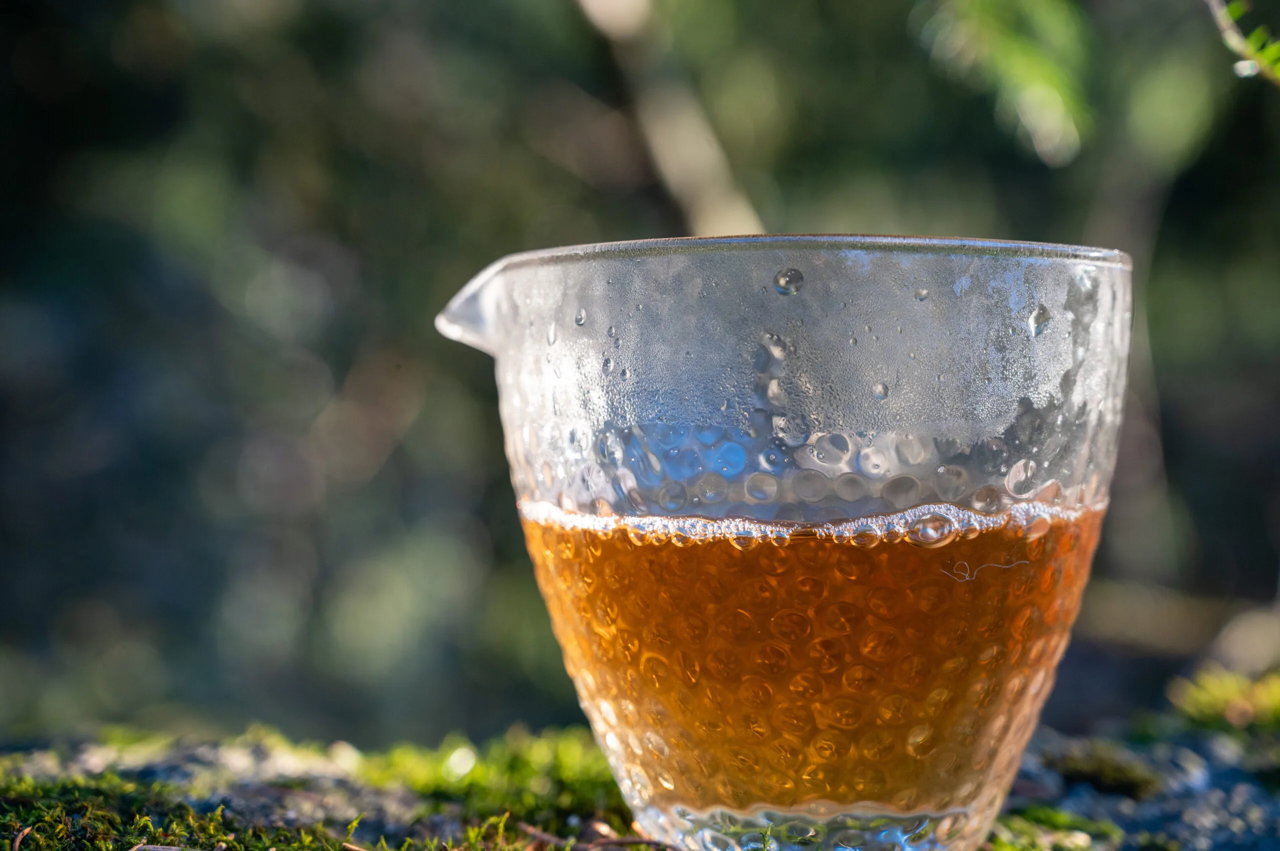 Da Hong Pao - Šarlatové roucho z Wuyi - Obrázek 3