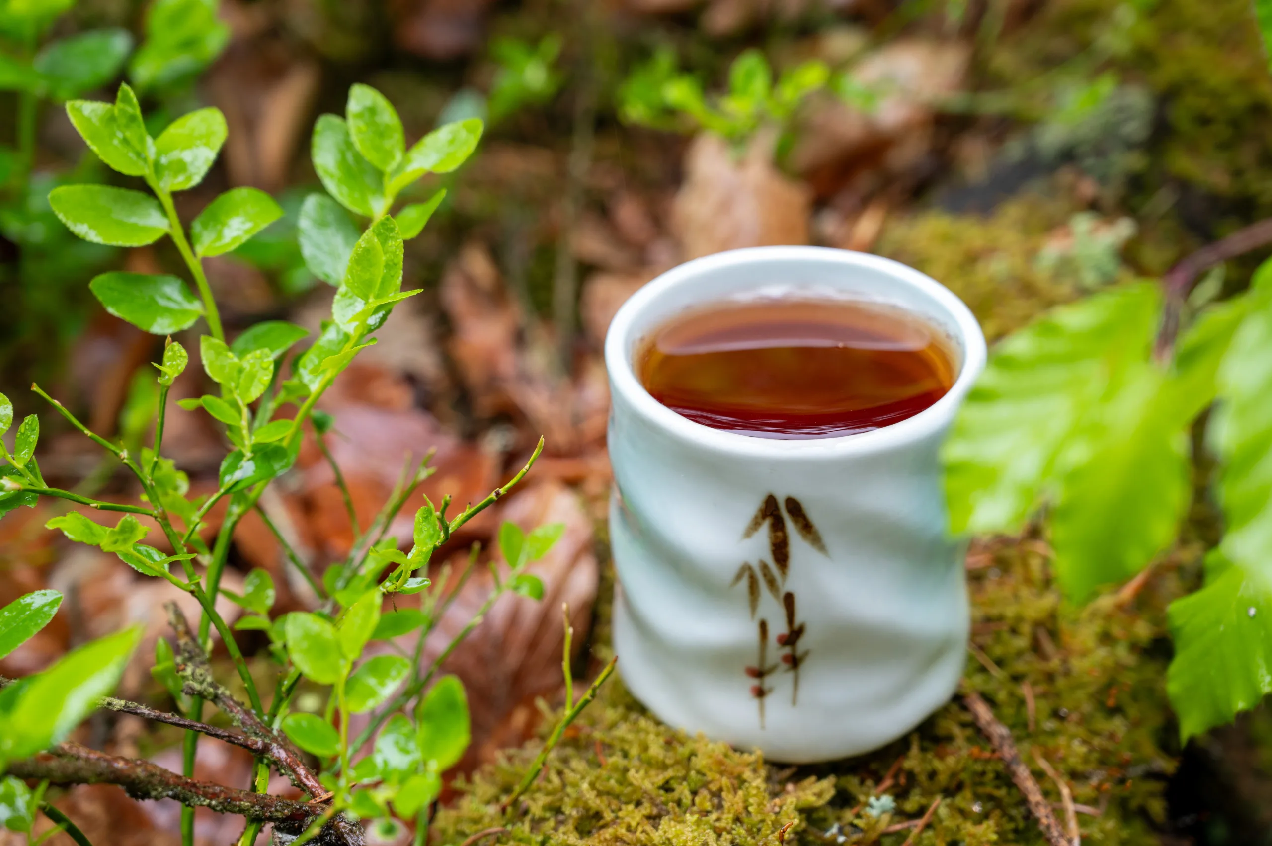Broskvový oolong - pečená hloubka Taiwanu - Obrázek 3