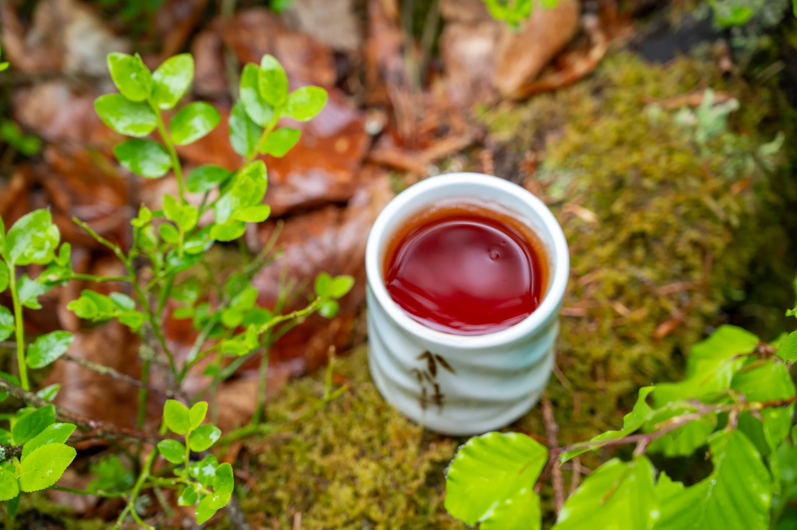 Broskvový oolong - pečená hloubka Taiwanu - Obrázek 4