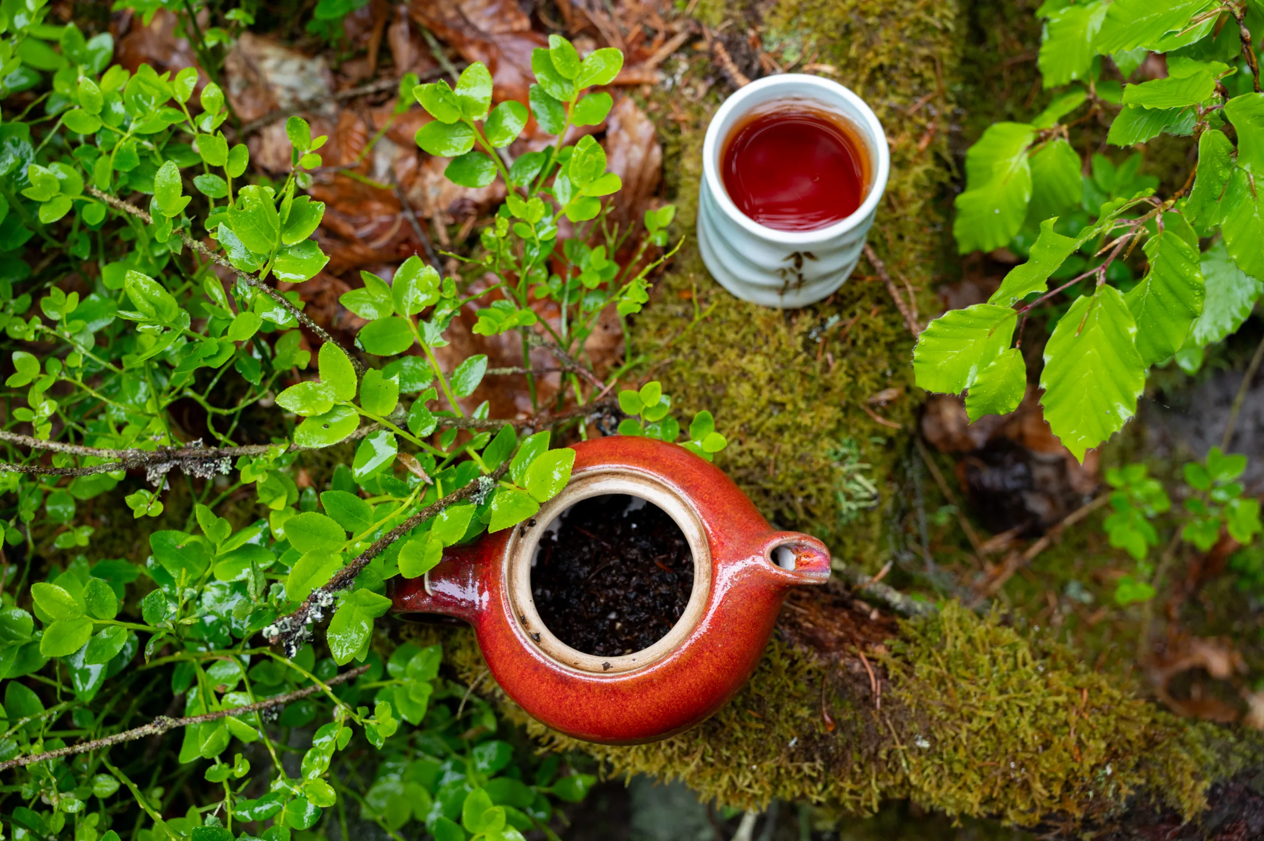 Broskvový oolong - pečená hloubka Taiwanu - Obrázek 2