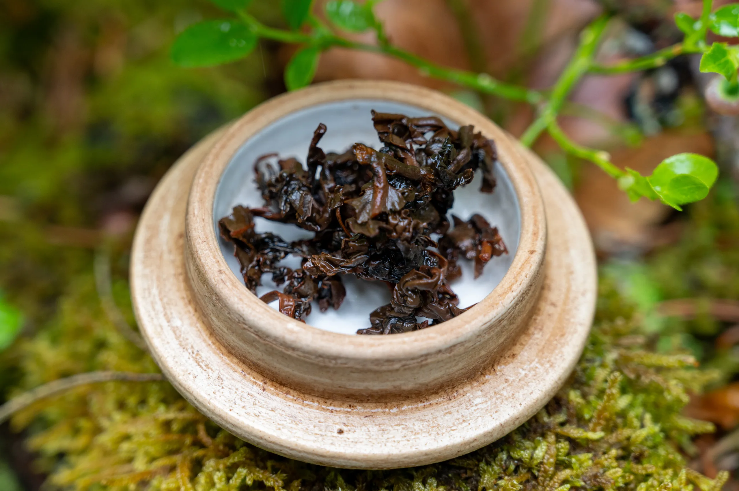 Broskvový oolong - pečená hloubka Taiwanu