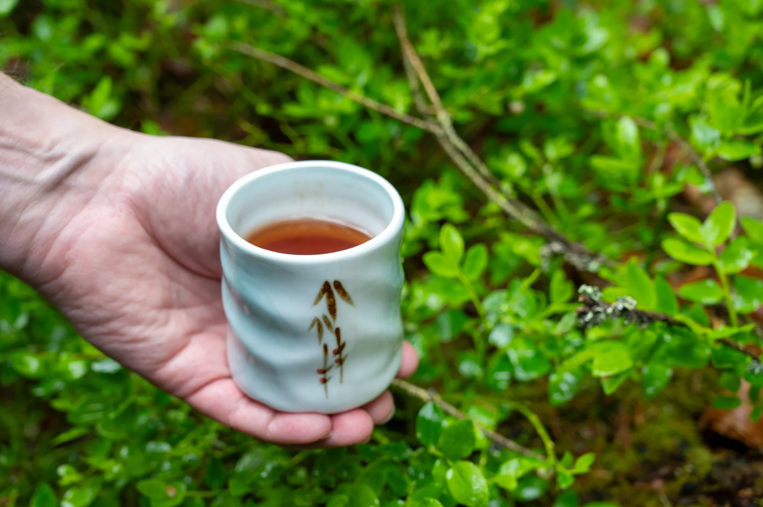 Broskvový oolong - pečená hloubka Taiwanu - Obrázek 5