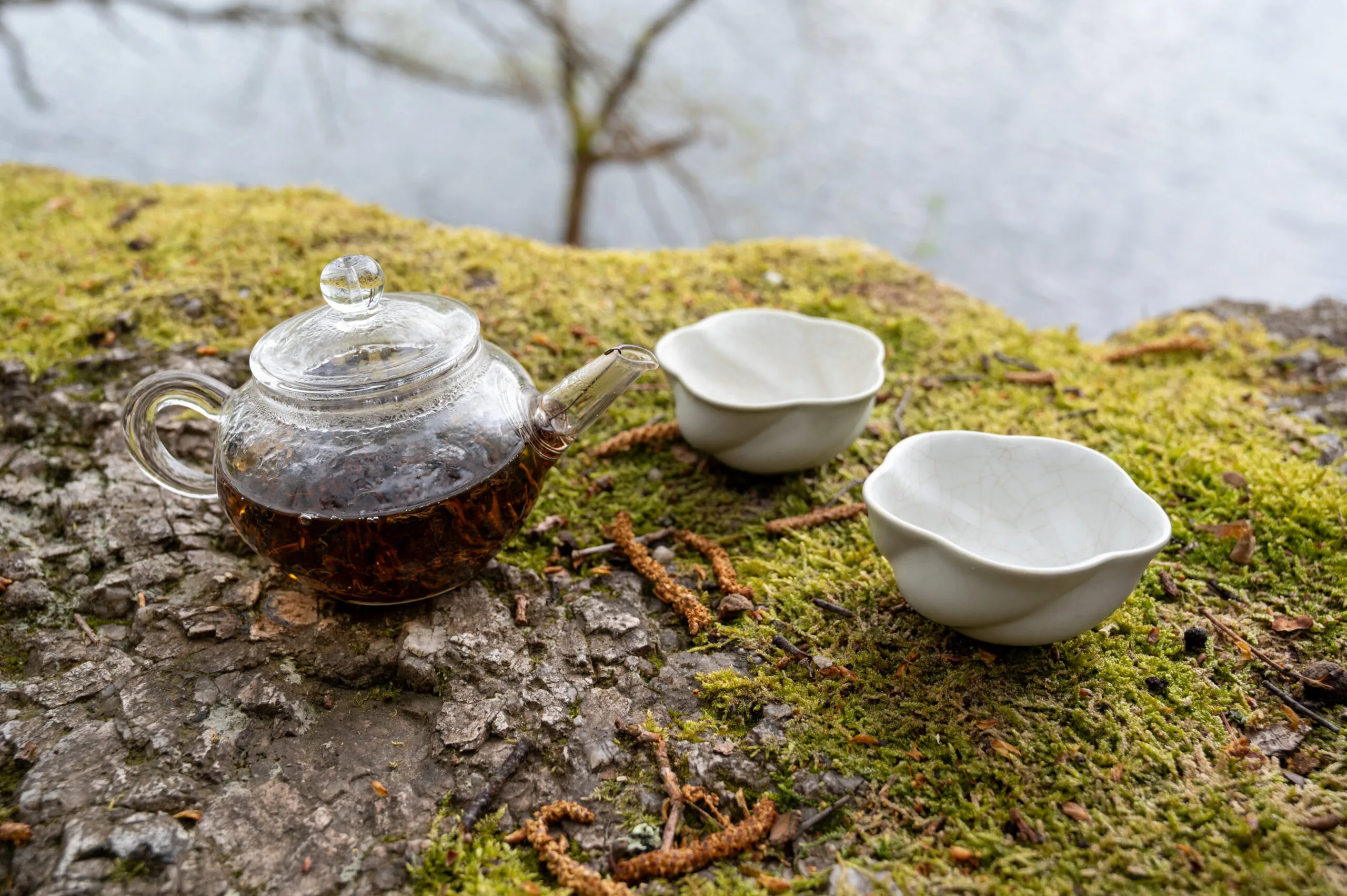 Fenghuang Phoenix – Červená orchidej z hory Phoenix - Obrázek 7