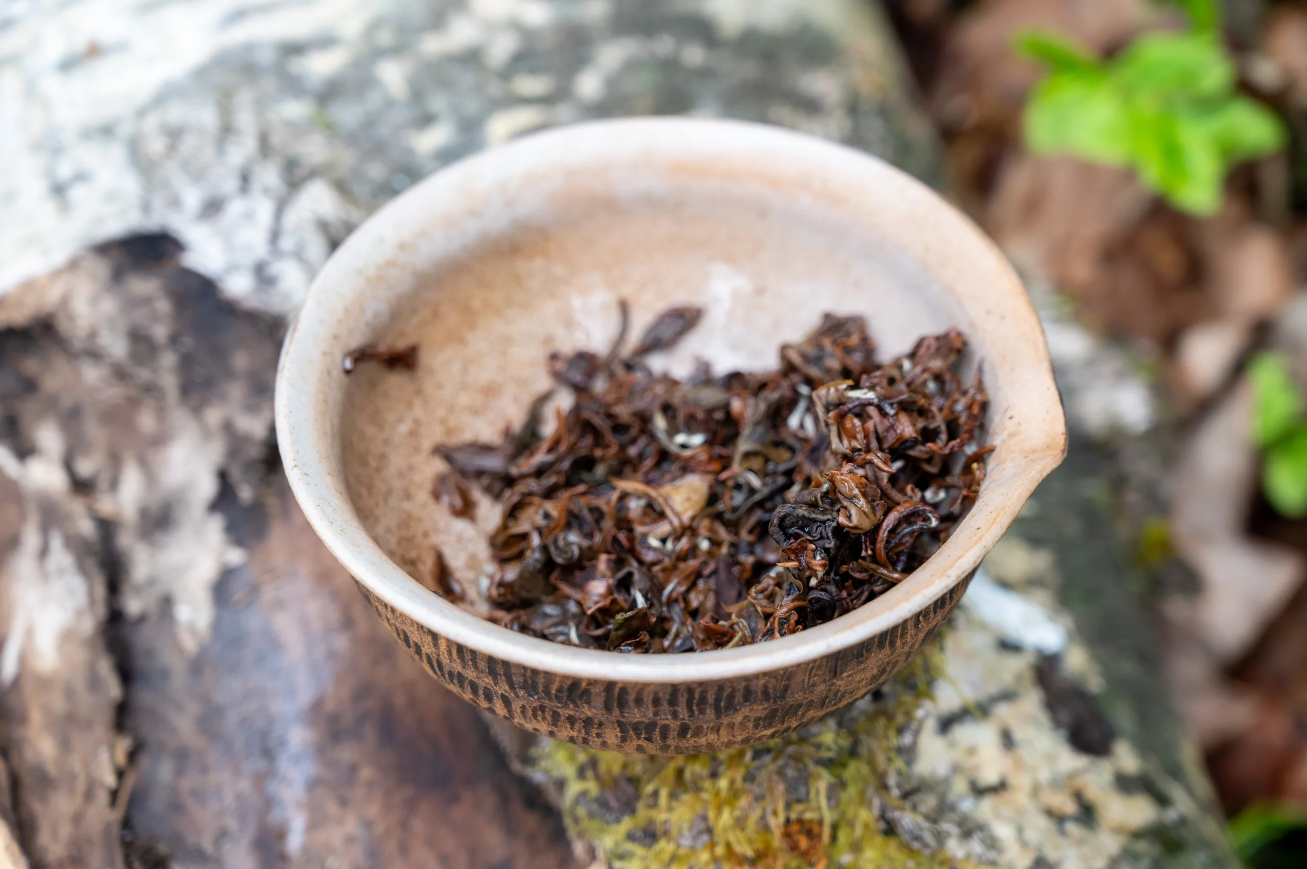 Oriental Beauty - medový oolong z Guangxi - Obrázek 3