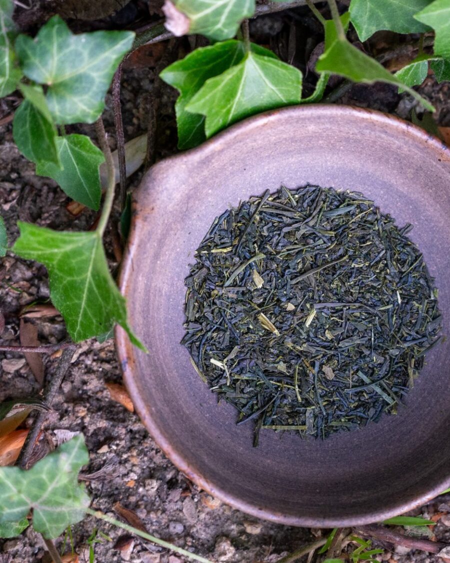 Sencha Fukamushi - Poklad ze Shizuoky