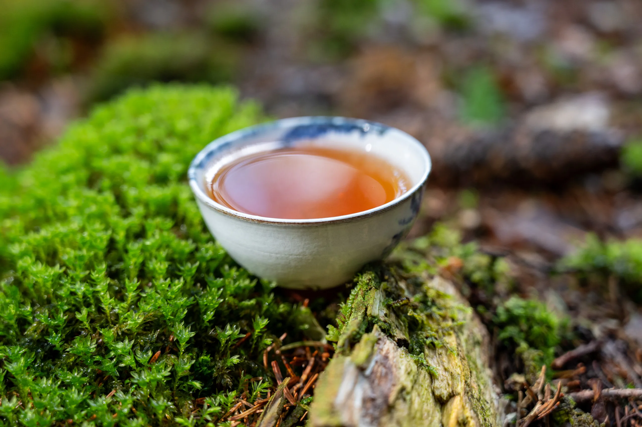 Houjicha Yabukita - jemný pražený čaj ze Shizuoky - Obrázek 8