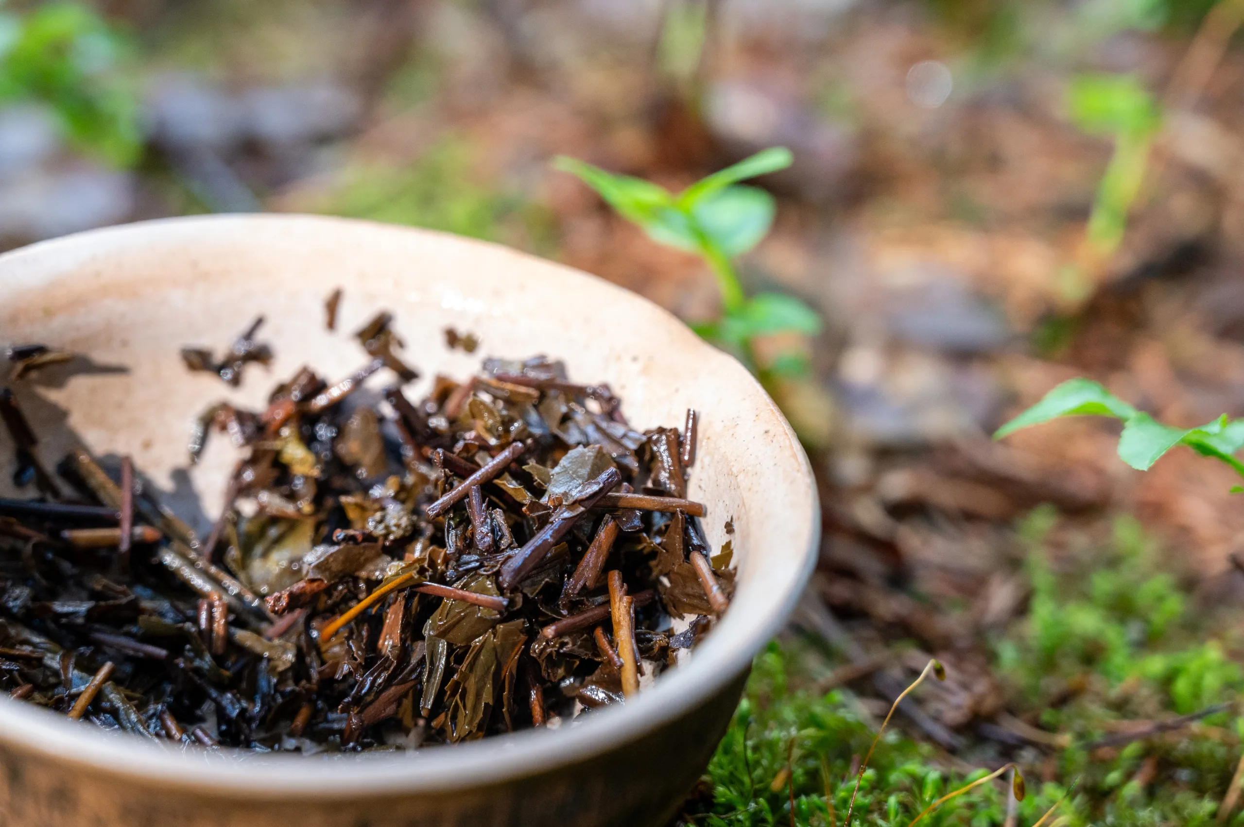 Houjicha Yabukita - jemný pražený čaj ze Shizuoky - Obrázek 9