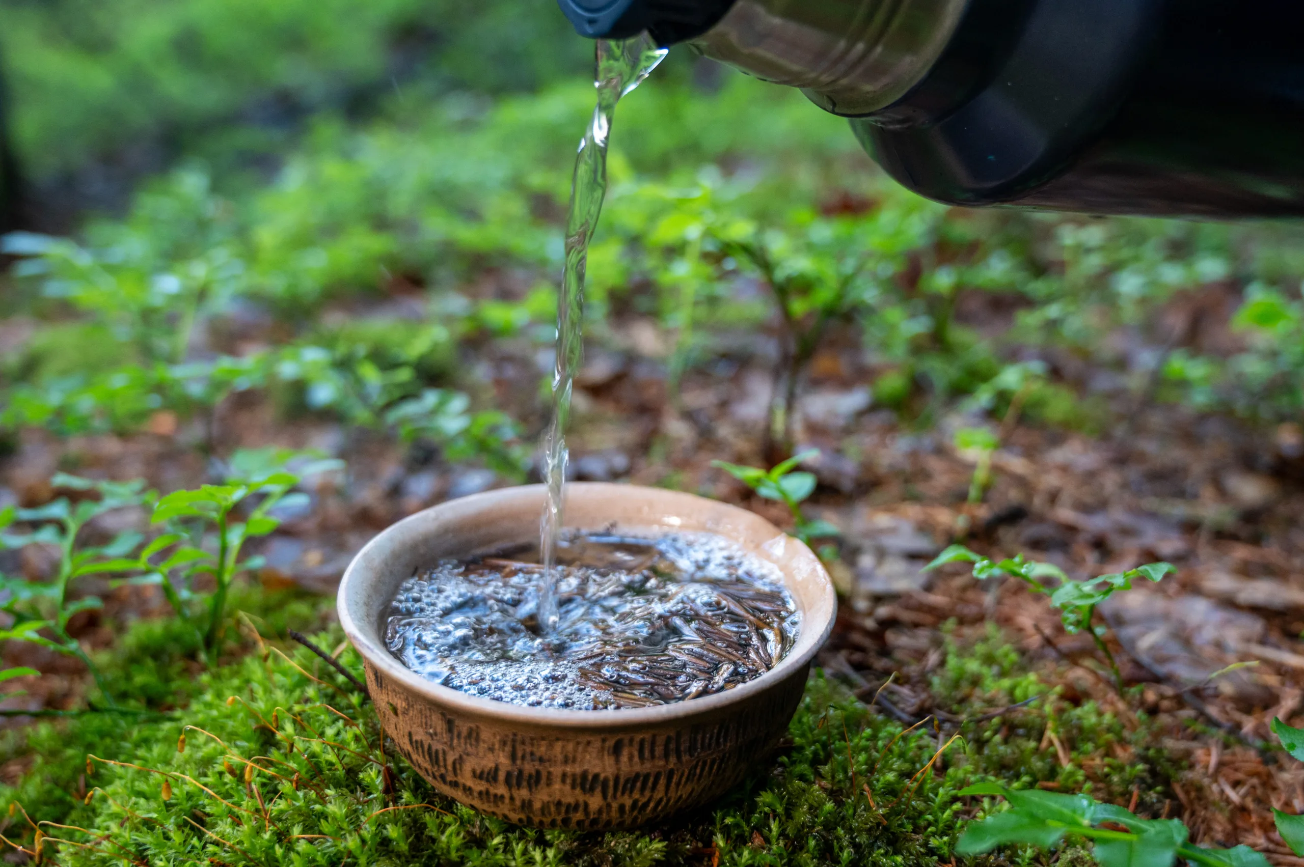 Houjicha Yabukita - jemný pražený čaj ze Shizuoky - Obrázek 7