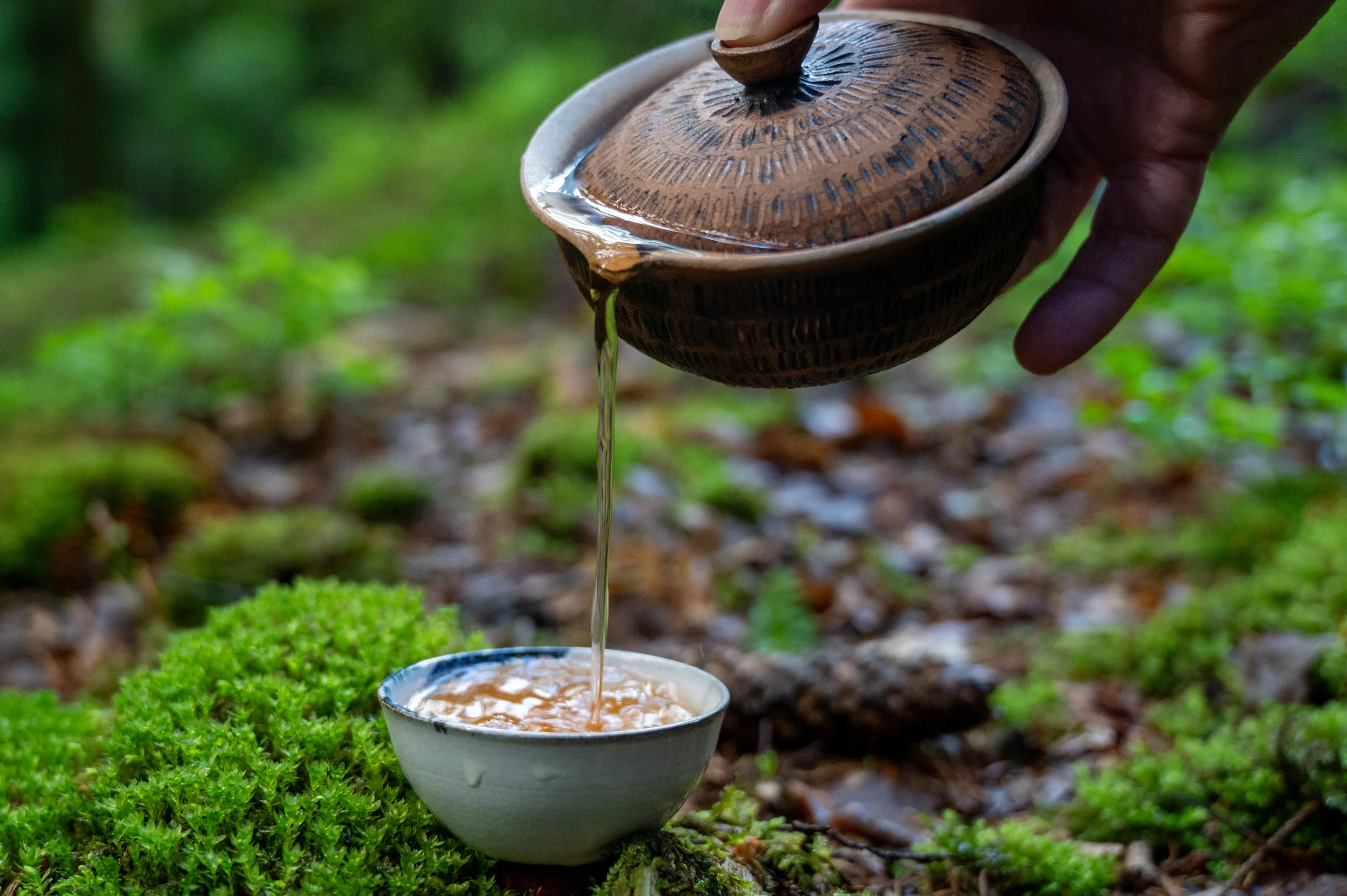 Houjicha Yabukita - jemný pražený čaj ze Shizuoky - Obrázek 6