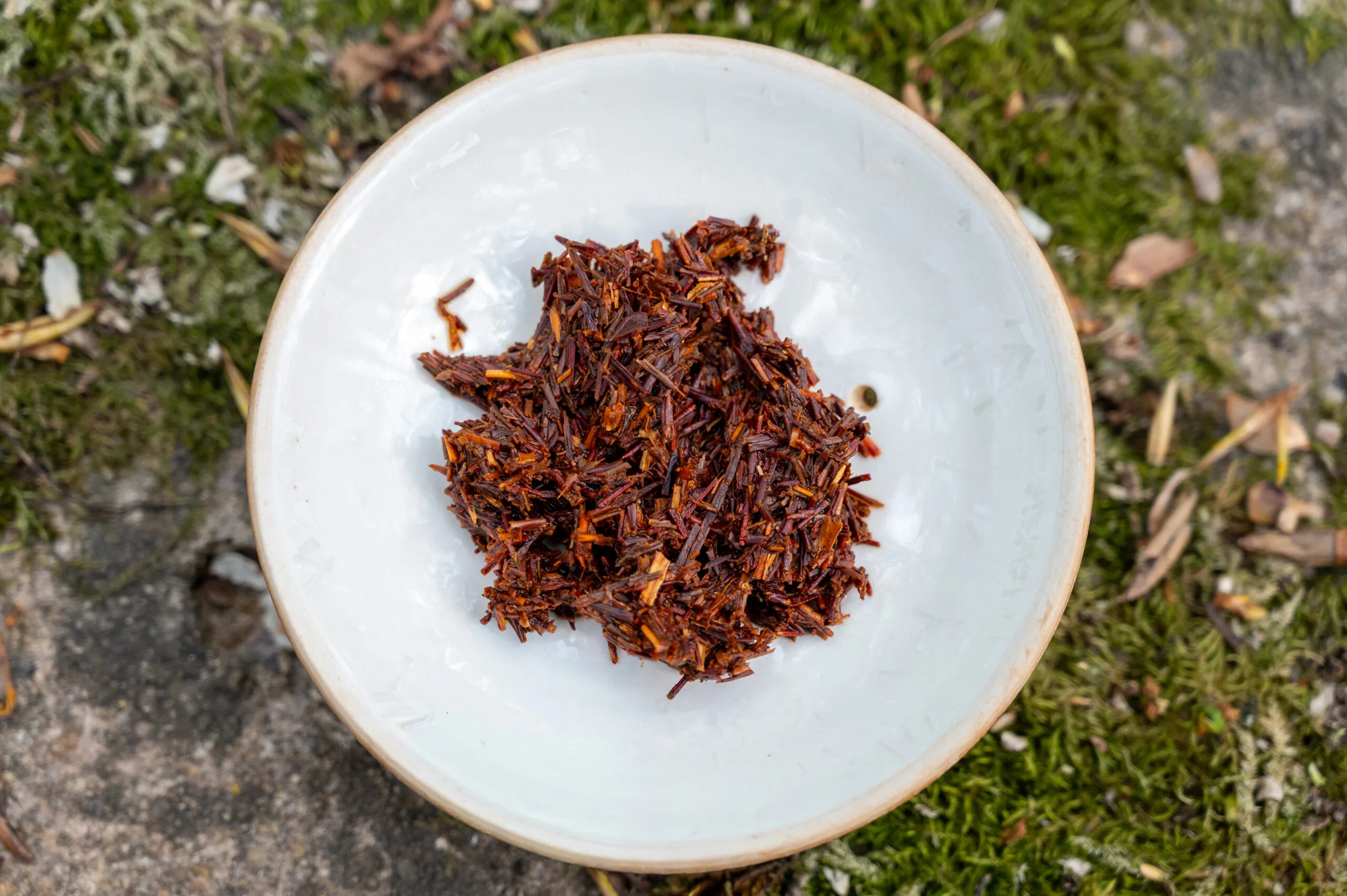 Červený rooibos - přírodní nápoj z hor Jižní Afriky - Obrázek 3