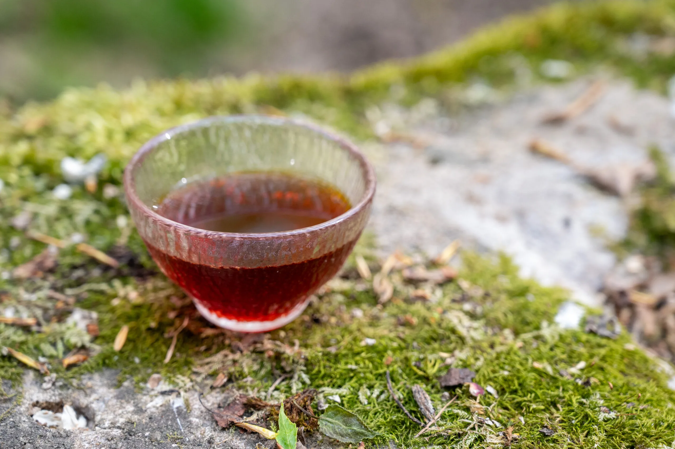 Červený rooibos - přírodní nápoj z hor Jižní Afriky - Obrázek 2