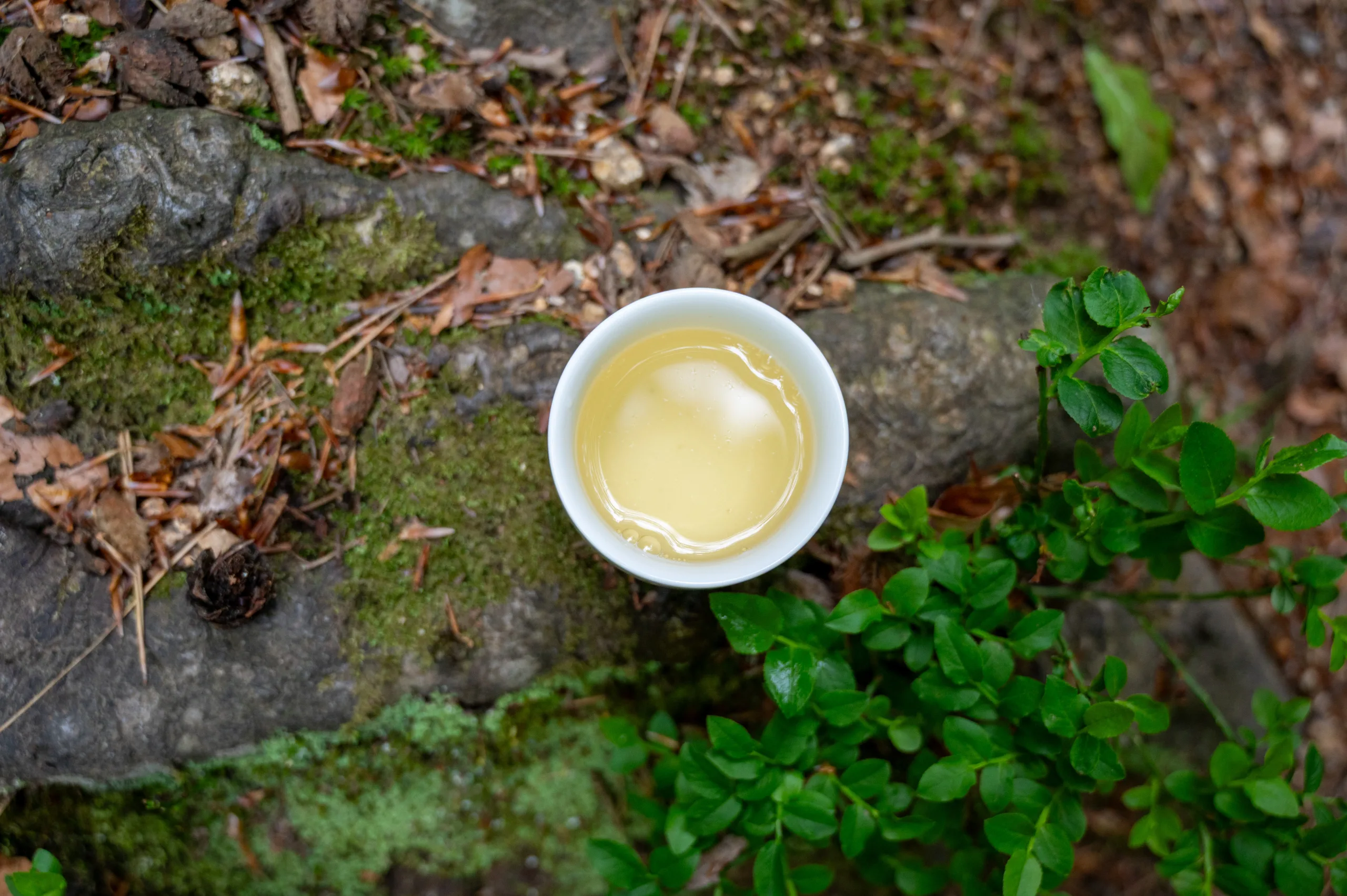 Ling Shan - Sacred Mountain Spring Harvest - Obrázek 3
