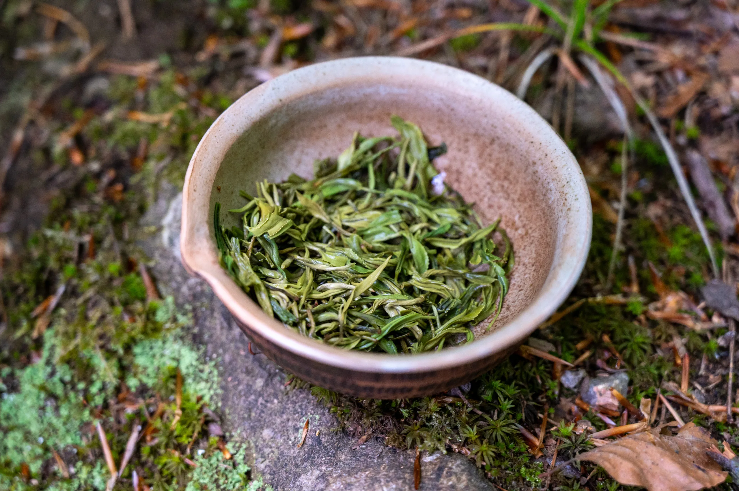 Ling Shan - Sacred Mountain Spring Harvest - Obrázek 4